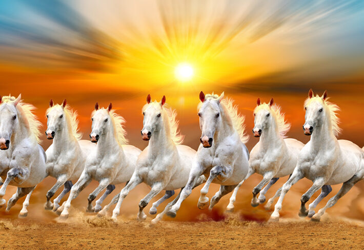 When seven horses inspire or disturb